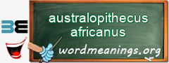 WordMeaning blackboard for australopithecus africanus